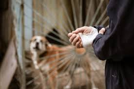 Common Challenges In Dog Bite Injury Compensation Cases
