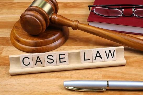 A Beginner’s Guide to Reading Lawsuit Updates Online